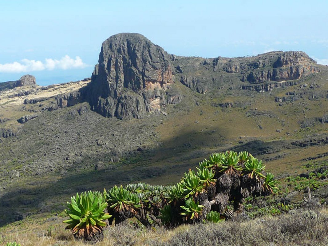 National Parks in Kenya