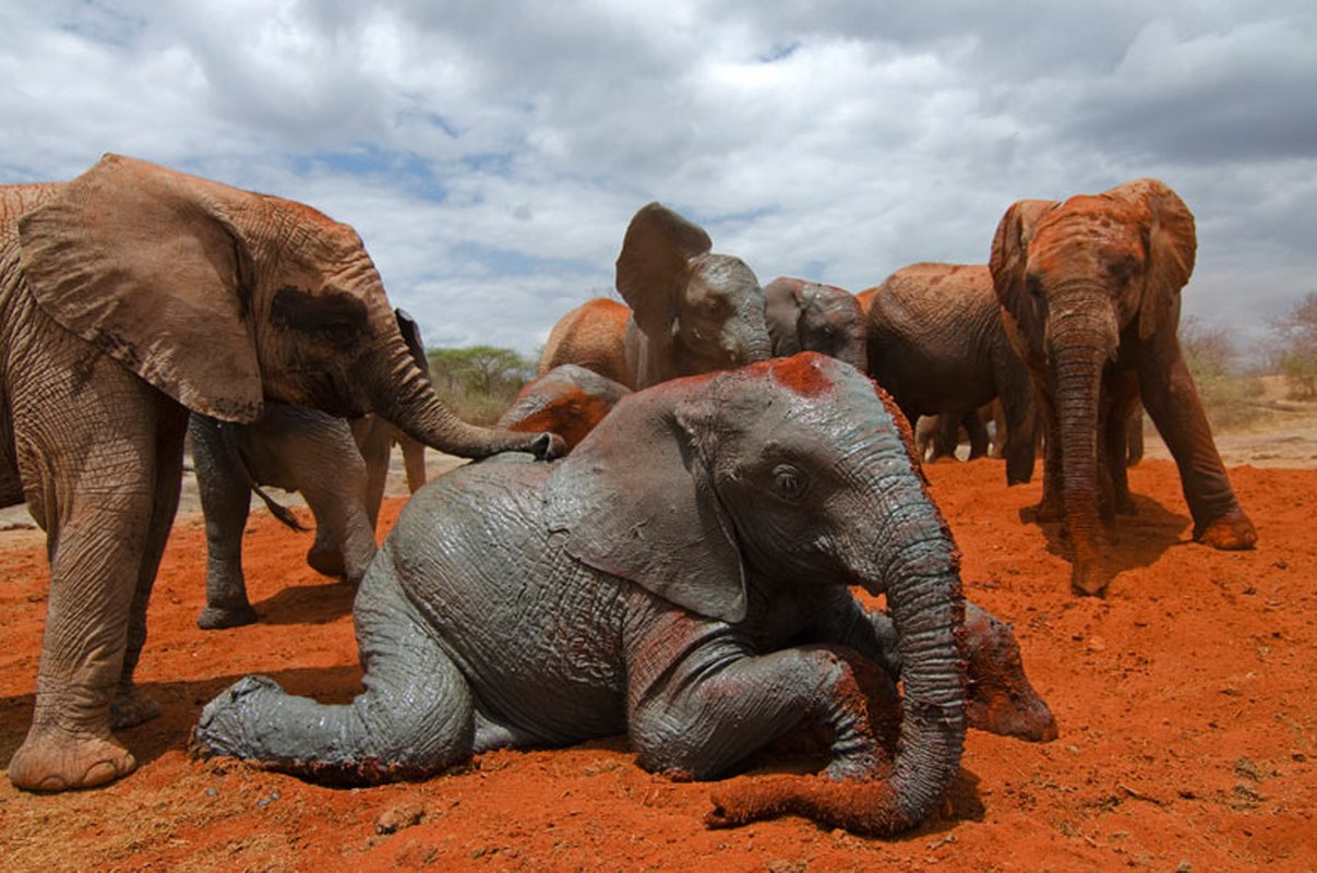 Kenya Attractions