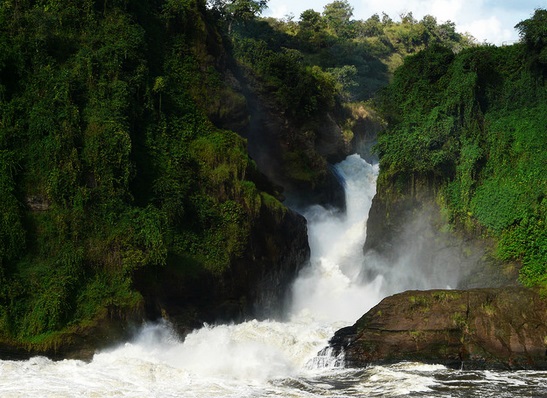 Uganda Kenya safari tours