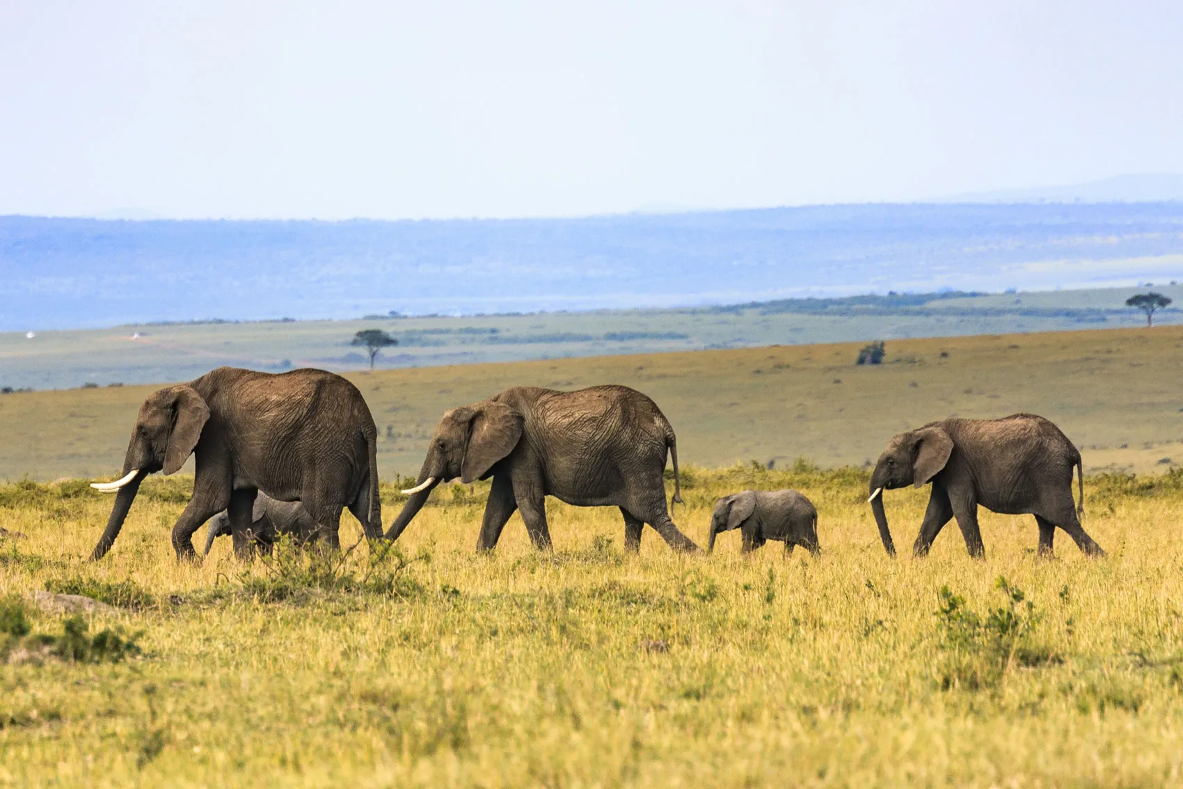 Adventure Vacations in Kenya