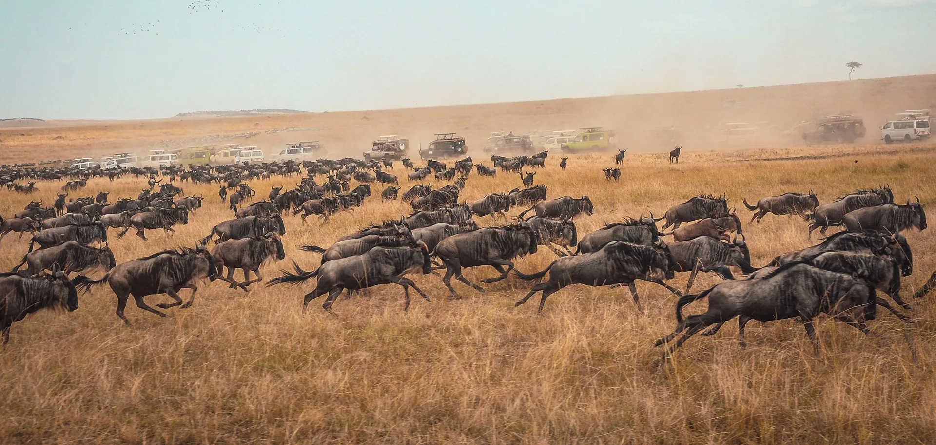 Kenya Travel Guide