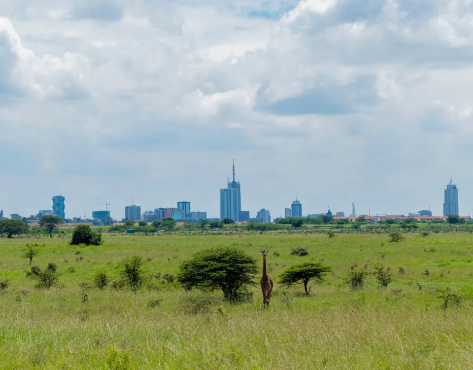 Nairobi National Park Kenya