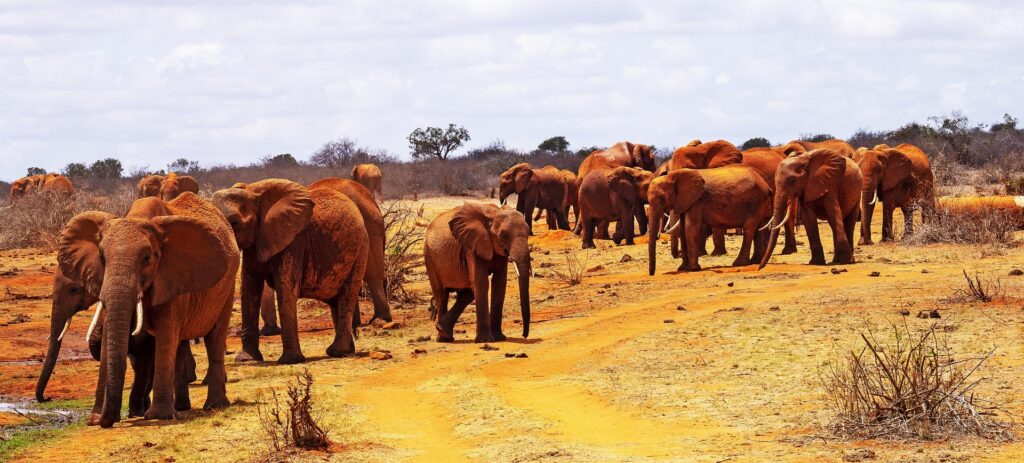 Kenya places o Visit