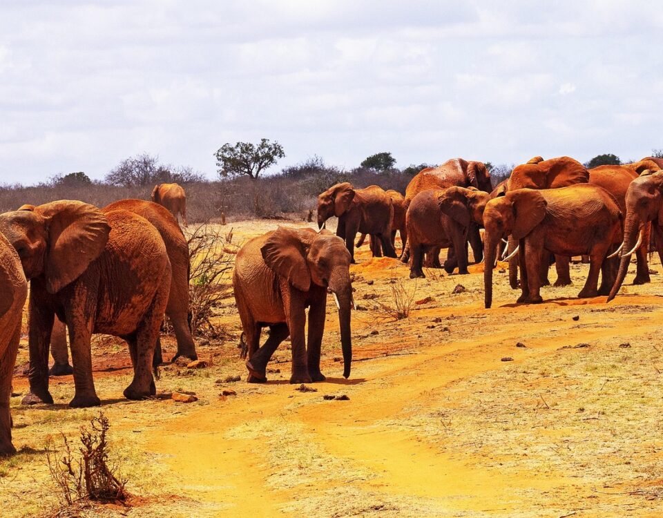 Kenya places o Visit