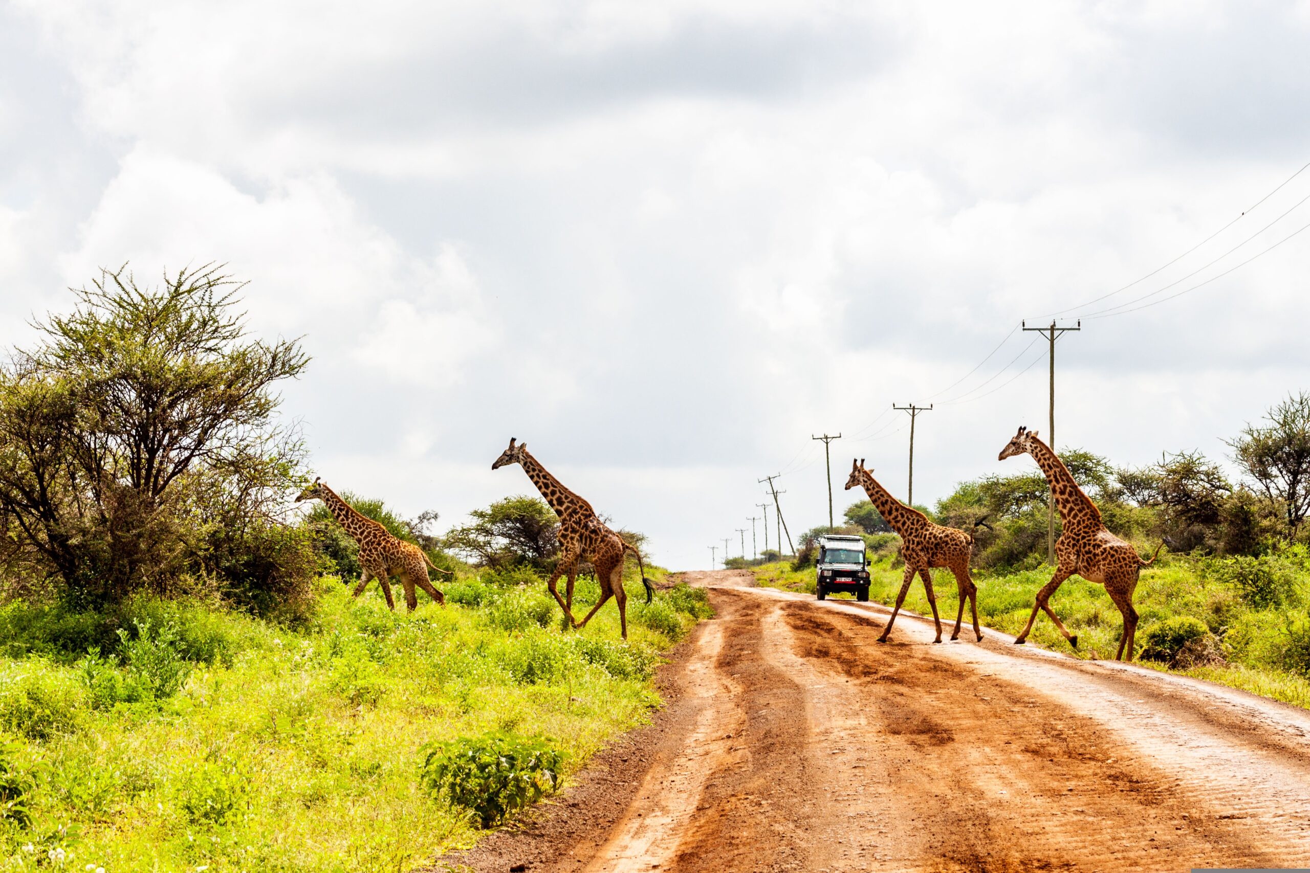 Best Time to Visit Kenya