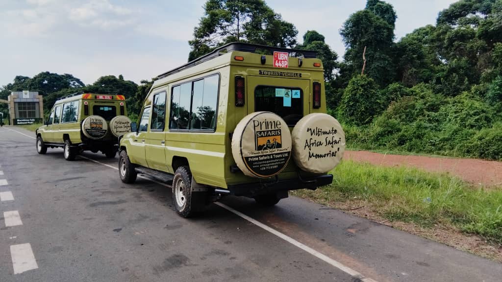 Wildlife Safaris in Kenya