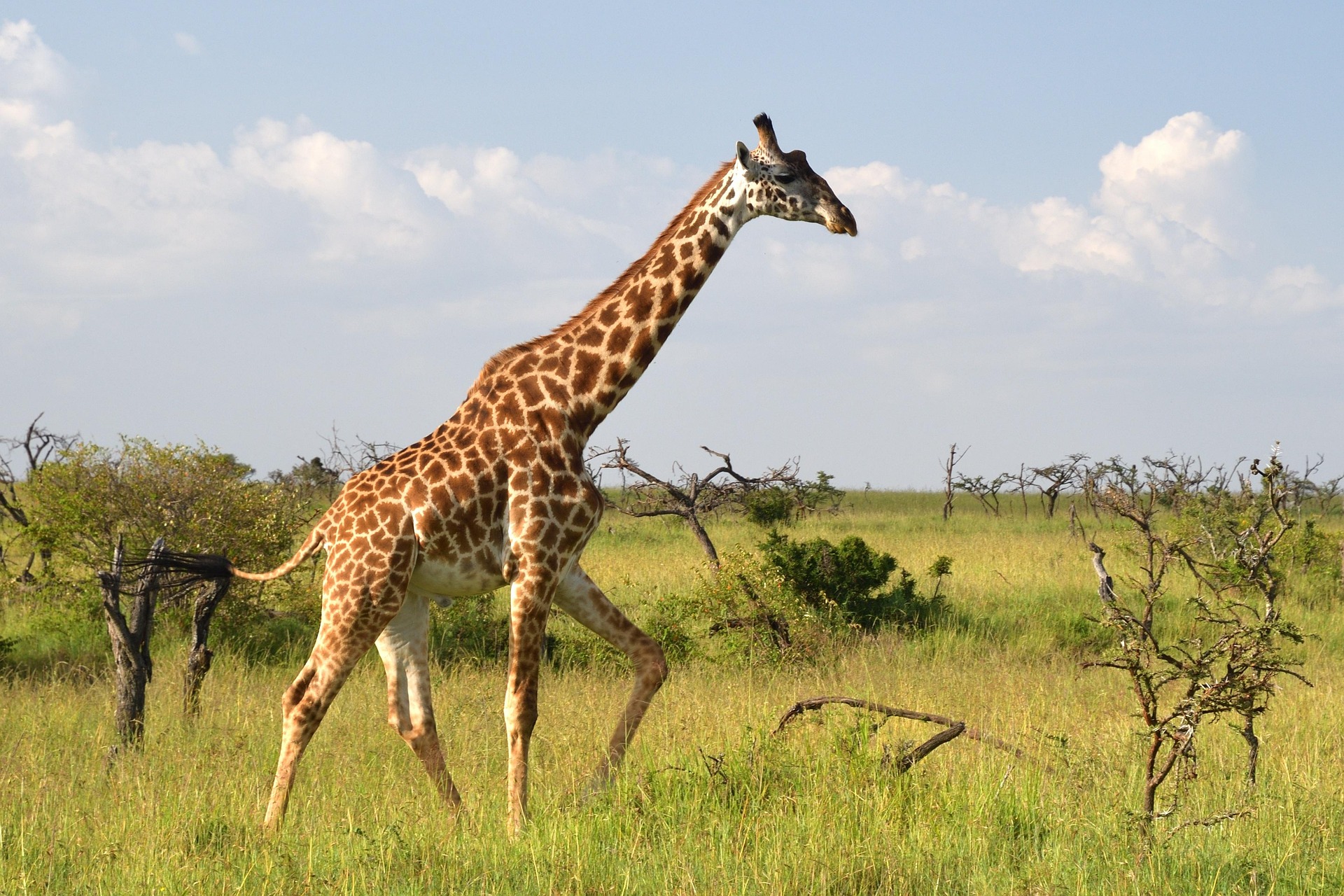Places to visit in Kenya