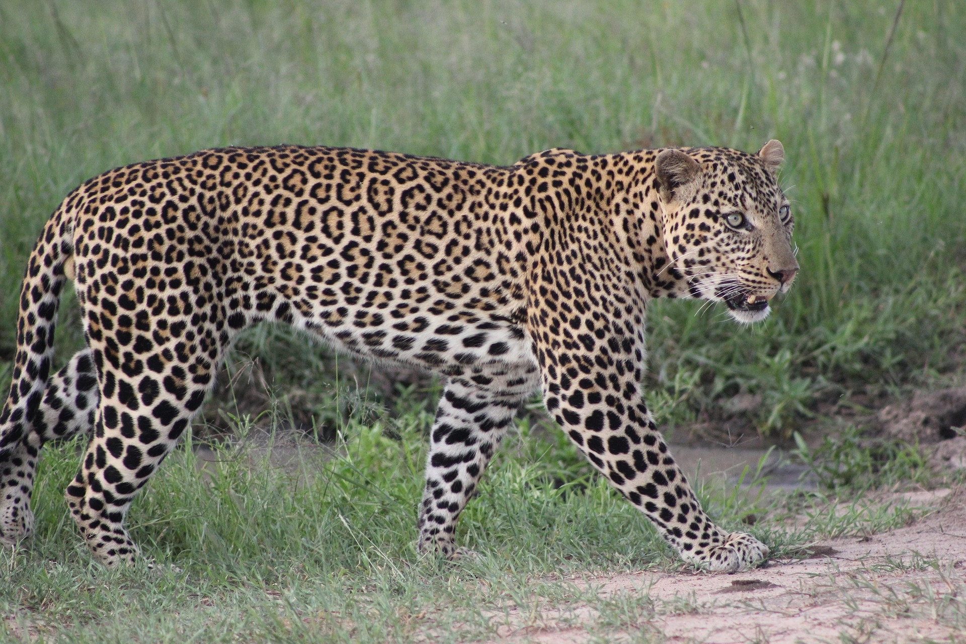 Places to visit in Kenya