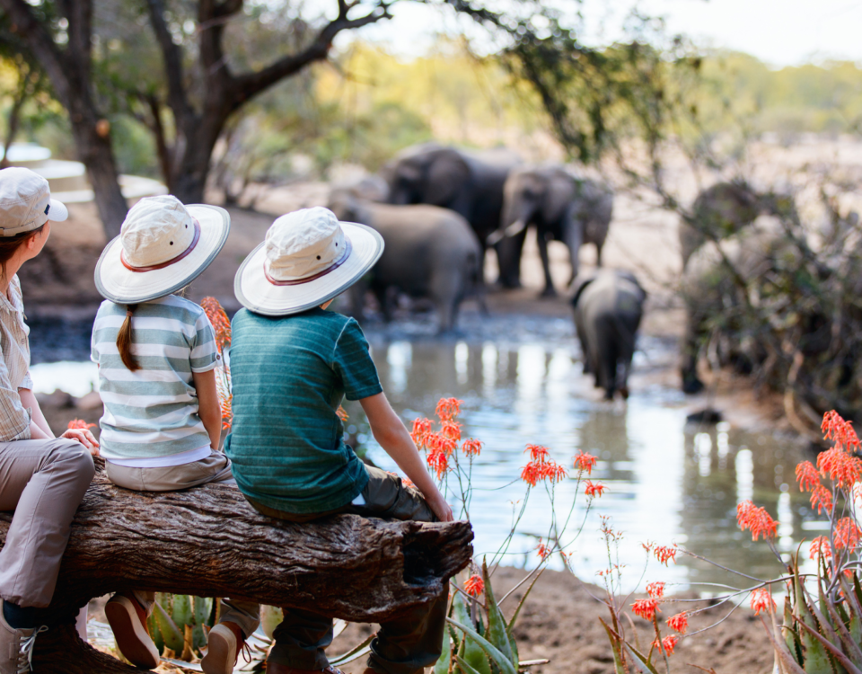 Kenya Safari Tours Big Five wildlife experience