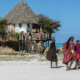 Tanzania Safari Packages & Zanzibar Holiday 2026