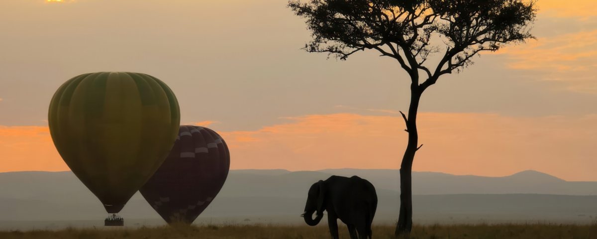 Tanzania Safari Tours Big Five wildlife game drive