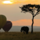 Tanzania Safari Tours Big Five wildlife game drive