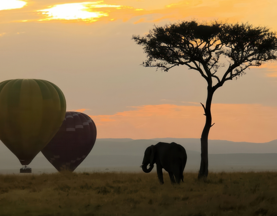 Tanzania Safari Tours Big Five wildlife game drive