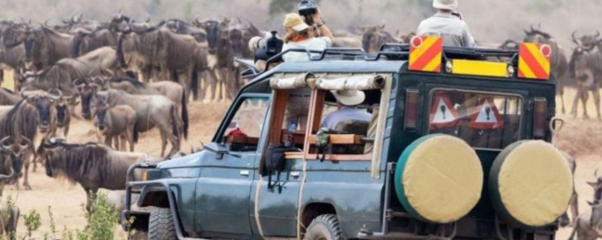 Private jeep during luxury African safari Tanzania