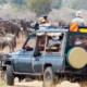 Private jeep during luxury African safari Tanzania
