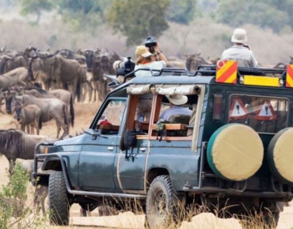 Private jeep during luxury African safari Tanzania