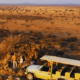 African Safari in Tanzania