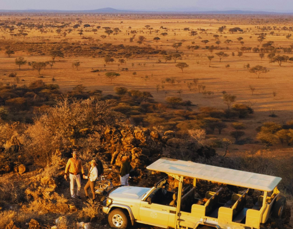 African Safari in Tanzania